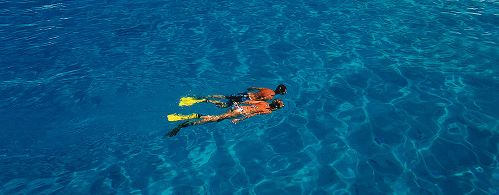 snorkel en la polinesa francesa excursiones