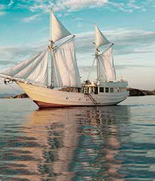 Cruceros de lujo en privado en diferentes lugares del mundo