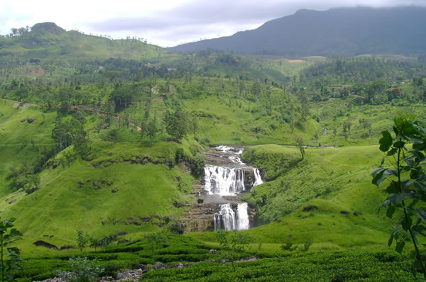 viajes a Sri Lanka Tren Nuwara Eliya a Kandy