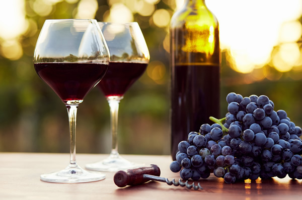 Visita a bodegas en Mendoza
