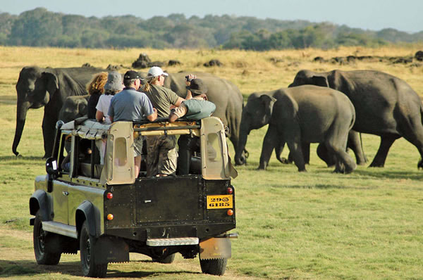 Viajes a Sri Lanka y maldivas Safari Parque Nacional Yala